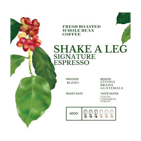 SHAKE A LEG, Bean Here Bean There Signature Roast Coffee Beans, 400g