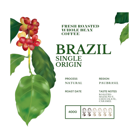 BRAZIL Single Origin, Bean Here Bean There Signature Roast Coffee Beans