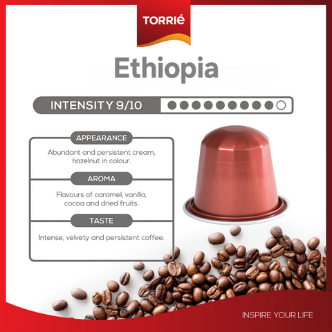 Torrié Ethiopia Nespresso® Compatible Single Serve Coffee, 10 Capsules - Original Line