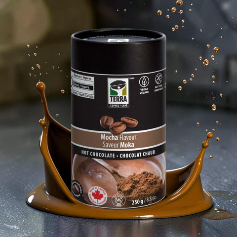 Terra Mocha Flavor Hot Chocolate, 250g.