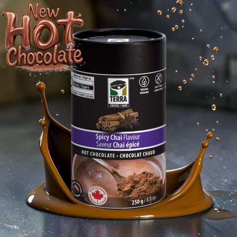 Terra Spicy Chai Hot Chocolate, 250g.